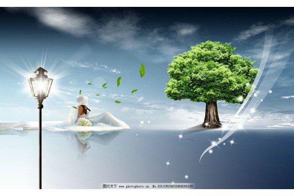 武汉街头流浪乌龟，茶香四溢养生趣事